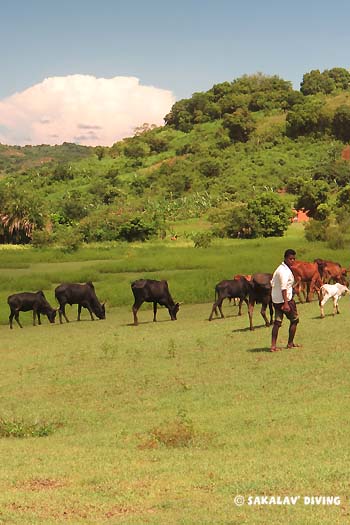 excursions dans l'interieur de Nosy Be